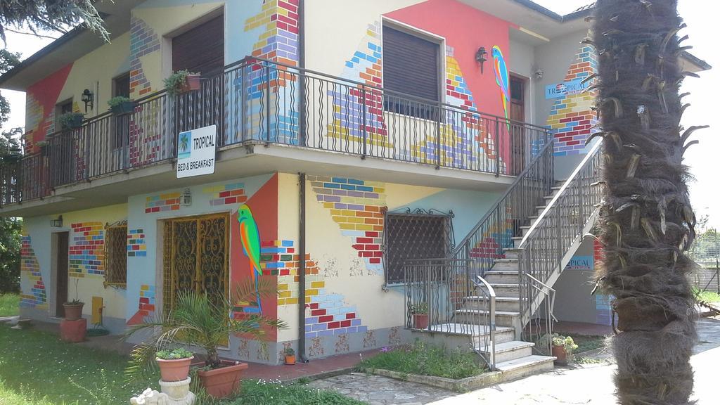Tropical Bed&Breakfast Lucca Bagian luar foto